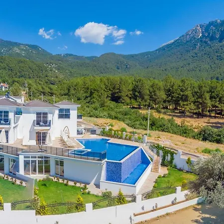 Villa Babadag Presidental
